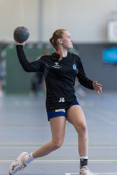 Bild 172 - wBJ HTS/BW96 Handball - Niendorfer TSV : Ergebnis: 27:27